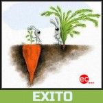 Éxito-Proyectizate-Community-Manager-Diseño-web-alcoy