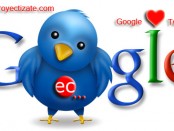 Google y Twiter en proyectizate