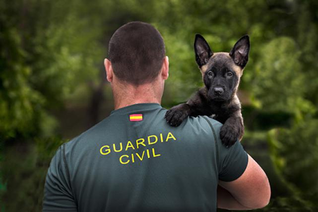 foto-ganadora-concurso-europol