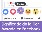 flor morada en facebook
