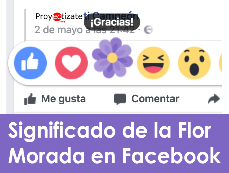 flor morada en facebook